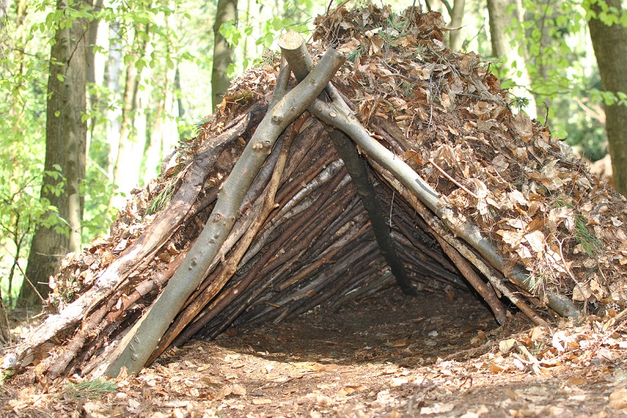 natural-shelter